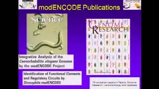Overview of the modENCODE Project - Elise Feingold