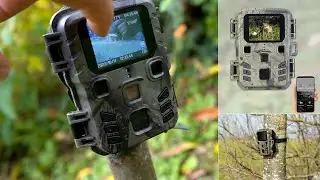 Comment filmer et photographier des animaux des animaux de nuit et de jour ? [PEARLTV.FR]