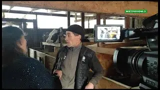 КФХ Валерия Цеброва с.Ванновское Тбилисский район
