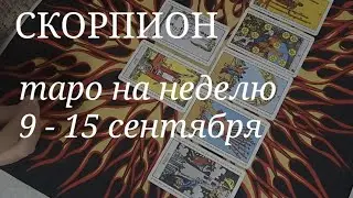 СКОРПИОН ТАРО расклад на неделю с 9 по 15 сентября 2024 года.