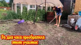 ПРЕОБРАЖЕНИЕ ДАЧНОГО УЧАСТКА/СЕЮ ГАЗОН НА ДАЧЕ/КАК ПРАВИЛЬНО И БЫСТРО ПОСЕЯТЬ ГАЗОН?