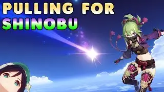 Genshin Impact: Pulling for Shinobu