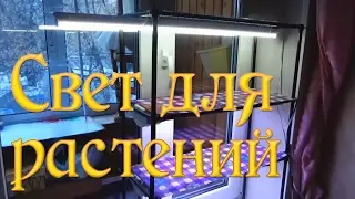 Освещение для растений / МОИ ЛАМПЫ