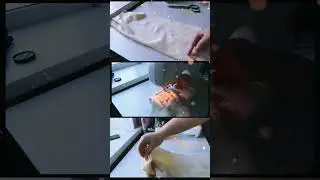 Полное видео на канале 🤍 