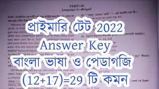 primary tet answer key | primary tet answer key 2022