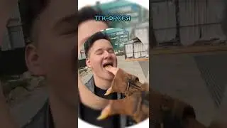 ФРОСЯ ТГК-ФРОСЯ