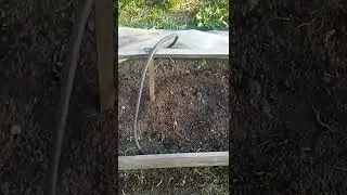 СЕЗОН ОГОРОДНЫЙ//