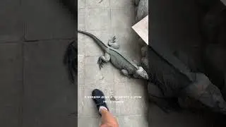Сырость. Мох. Плесень. Реалии Бали 