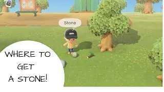 *QUICK GUIDE* Animal Crossing: New Horizons - WHERE TO GET A STONE!