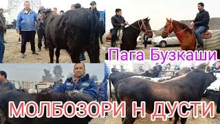МОЛБОЗОРИ ЧОРШАНБЕ Н ДУСТИ 13.11.2024.г