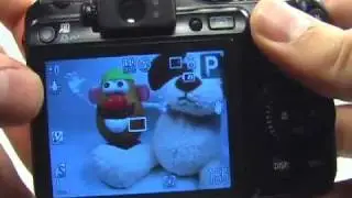 Canon G10: Program Mode