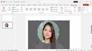 How to change a picture to an oval shape in PowerPoint