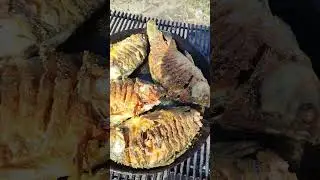 Карась из речки на сковородку!!!