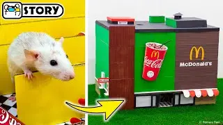 Rats in McDonalds Maze 🍔 Homura Ham Pets