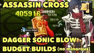Assassin Cross Dagger Build (Sonic Blow type) 🔥 Ragnarok M Eternal Love