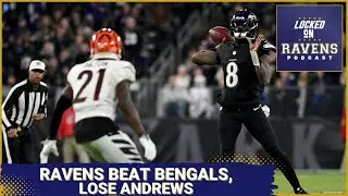 Baltimore Ravens beat Cincinnati Bengals in Week 11 as BRUTAL Mark Andrews loss looms large