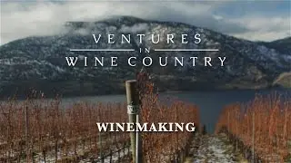 Ventures in Wine Country | Episode 4: Winemaking