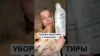 КАК Я УБИРАЮСЬ С СОБАКОЙ 