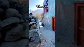 Village life in mountain areas #explore #mountainswiev #mountains #nature #famousoldvillage