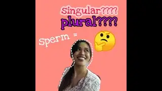 Special Nouns