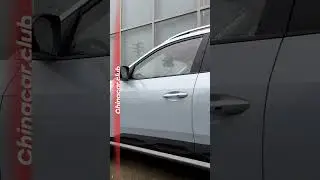 Hyundai Mufasa🔊