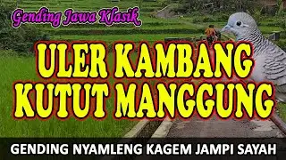 Classical Javanese Music Uler Kambang Kutut Manggung - Uyon uyon Music for Tiredness