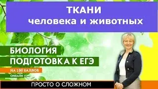 Ткани человека и животных.Подготовка к ЕГЭ и ОГЭ по биологии