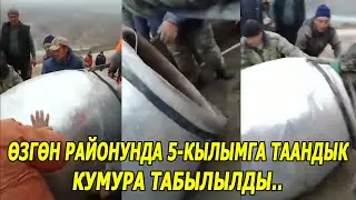 Өзгөн районунда айланма жол салынып жаткан мына ошол жерден 5-кылымга таандык кумура табылыптыр.