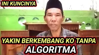 tanpa tau  algoritma pun bisa sukses ko