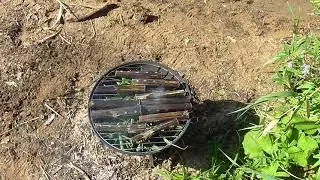 иван чай вид сверху