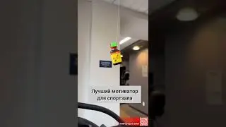 Попперс - лучший мотиватор для спортзала