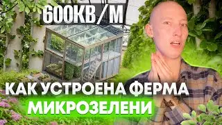 МИКРОЗЕЛЕНЬ? ЭТО НЕ ШУТКА! (600 КВ. МЕТРОВ ДОКАЗАТЕЛЬСТВ)