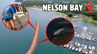 Fishing Nelson Bay Breakwall - They caught a KINGY and A JEWIE!