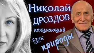 Николай Дроздов: возобновление карьеры?
