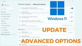 How to Use Windows 11 Update Advanced Options | Windows 11 Update Advanced Settings Kaise Use Kare