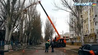 На улице Комарова кронируют деревья
