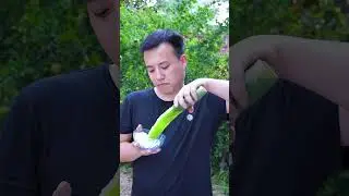 Can cactus be eaten directly? | Chinese Food Eating Show | Funny Mukbang ASMR