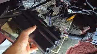 Terminator X Max Almost in