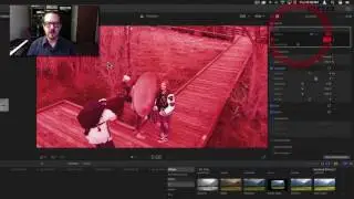 Tint Filter in Final Cut Pro X