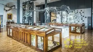 Lapworth Museum of Geology: Art Fund Museum of the Year finalist