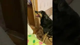Шесть минут с нами🤗❤️