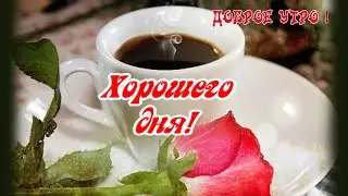 С добрым утром! С новым днем! Удачной недели!