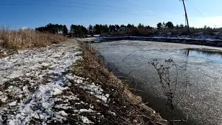 Ставок возле дома вместо огорода, разведение раков и рыбы в домашних условиях