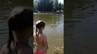Кормим уток на озере