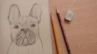 Рисунок 
