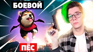 пушистый волк и его БОЕВАЯ САБАКА 🔥 битва на выживание В FREE FIRE