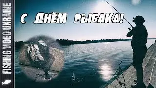 FEEDER FISHING ON FISHERMAN'S DAY 2020 | FishingVideoUkraine