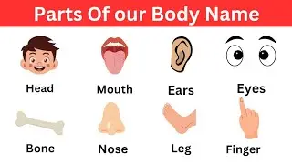 Body Parts | Body Parts Name in English with Pictures | Listen and Practice | Fun Learning