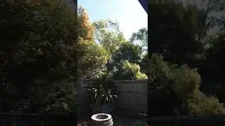 Windy weather in Brisbane
