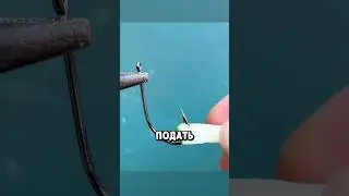 How to Set Bait Correctly🤔